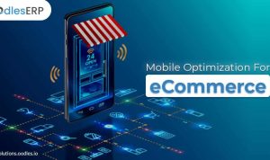 Mobile Optimization for Lifestyle E-Commerce Stores