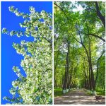 Seasonal Promotions for Android Gadgets Unleashed