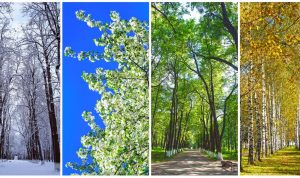 Seasonal Promotions for Android Gadgets Unleashed