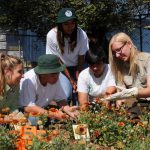 Guide to Buying Wholesale Accessories Made Easy