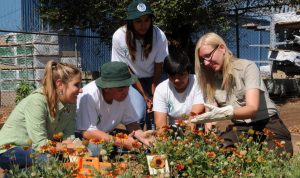 Guide to Buying Wholesale Accessories Made Easy